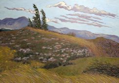 Wild Meadow
